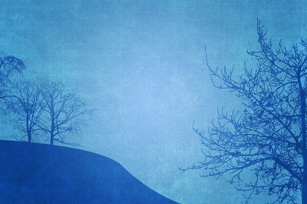 Foto d epoca di alberi su sfondo blu