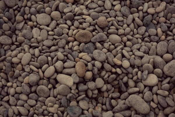 Foto di testo di ciottoli sulla spiaggia