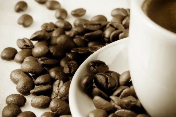 Chicchi di caffè sparsi sul tavolo