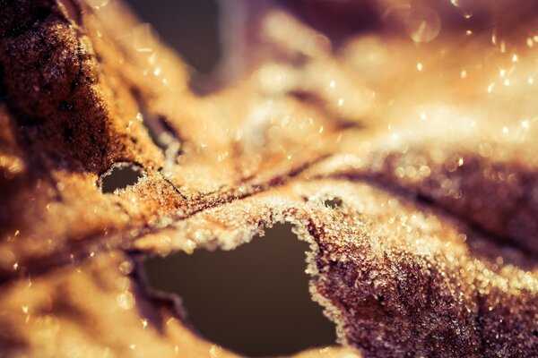 Close-up di un pezzo di torta in sezione