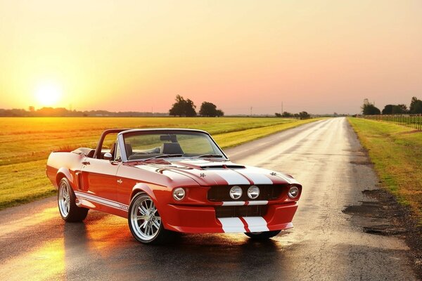 Auto sportiva sull asfalto al tramonto