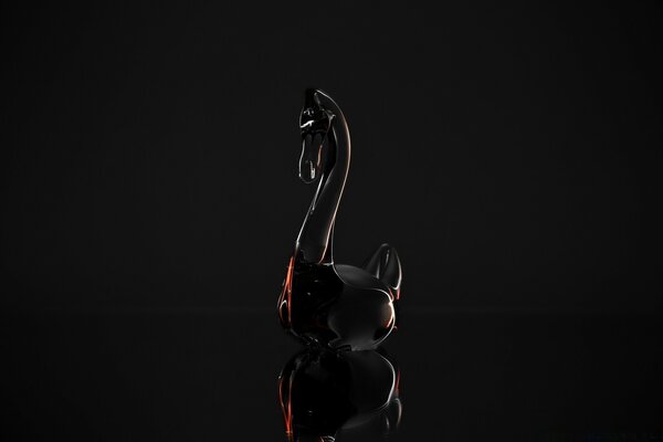 Cigno nero sul desktop scuro
