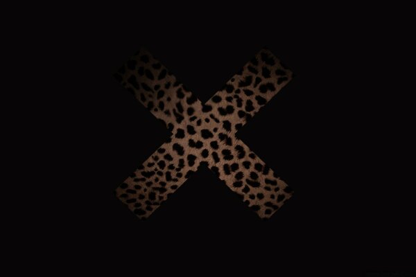 Croce di leopardo sull immagine nera
