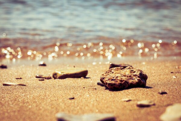 Sogni di mare affettuoso e sabbia dorata