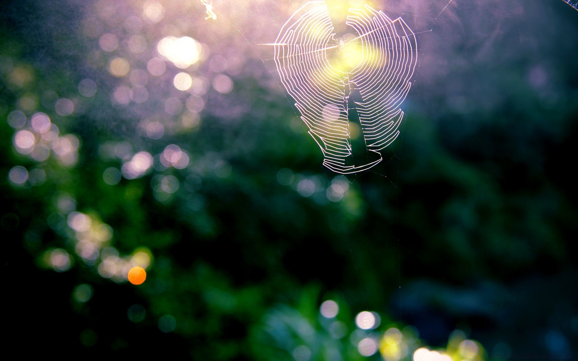 bokeh natale luce vacanza astratto luminescenza colore sfocatura luminoso desktop magia splende decorazione partito