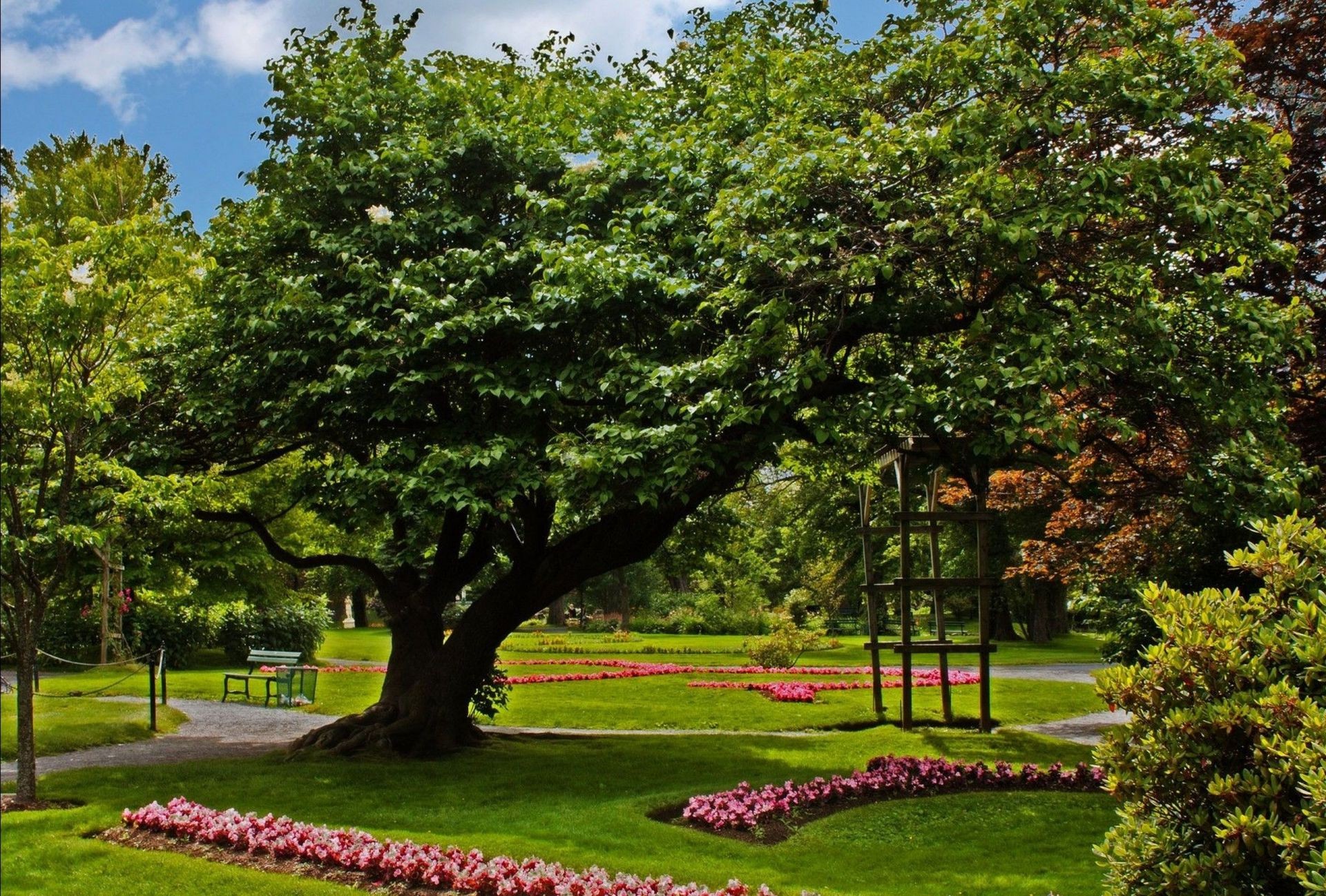 parchi albero giardino foglia parco natura paesaggio erba all aperto prato fiore estate flora legno panchina stagione ambiente lussureggiante bel tempo scenic