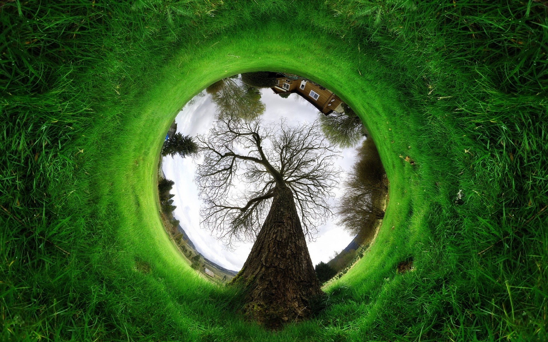creativo erba natura ambiente prato paesaggio a forma di palla ecologia all aperto estate foglia spettacolo campo parco fieno flora suolo