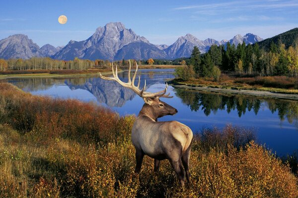 Riflessione delle montagne in un lago di montagna