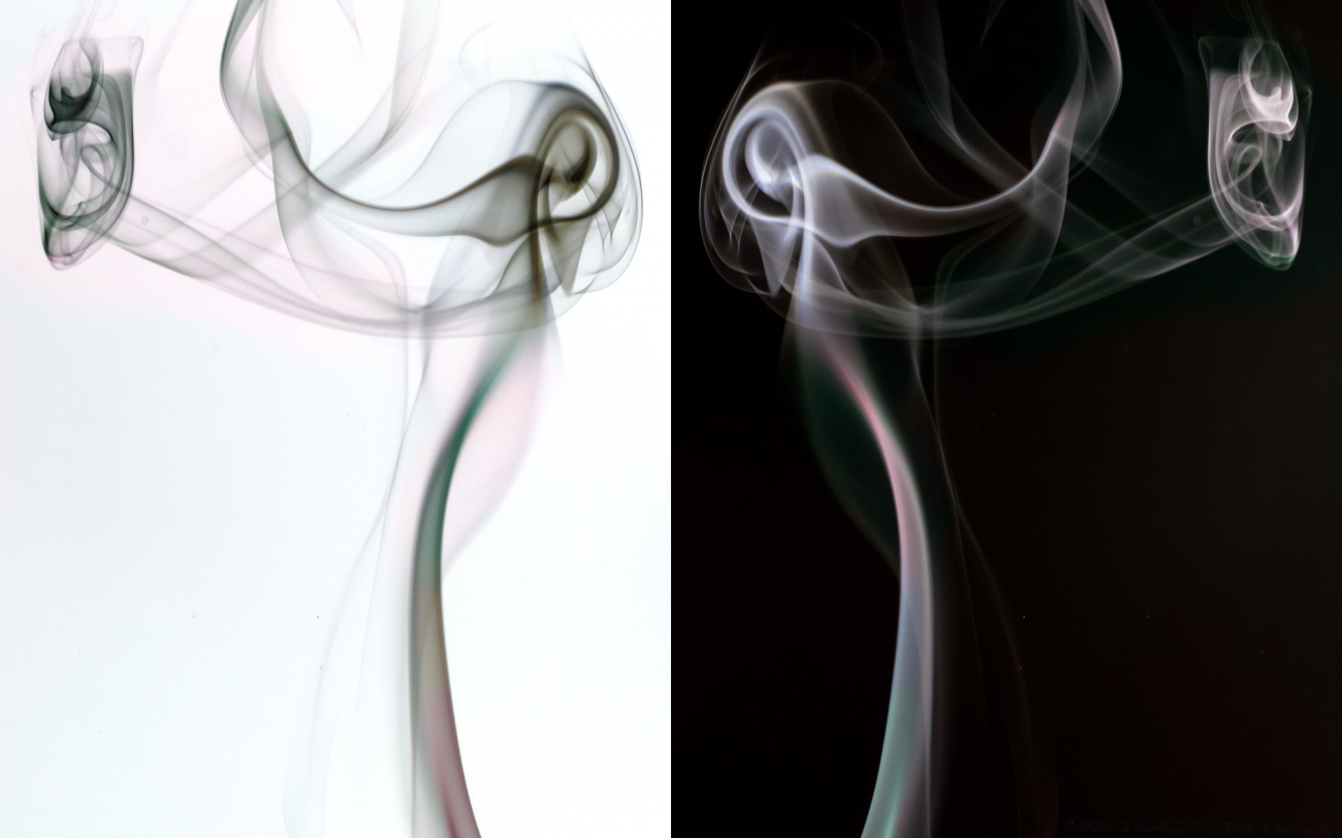 creativo incenso fumo nebbia vapore curva liscio dinamico bruciato onda chiazza di petrolio odore impronta misterioso delicato movimento astratto fiamma fumoso forma