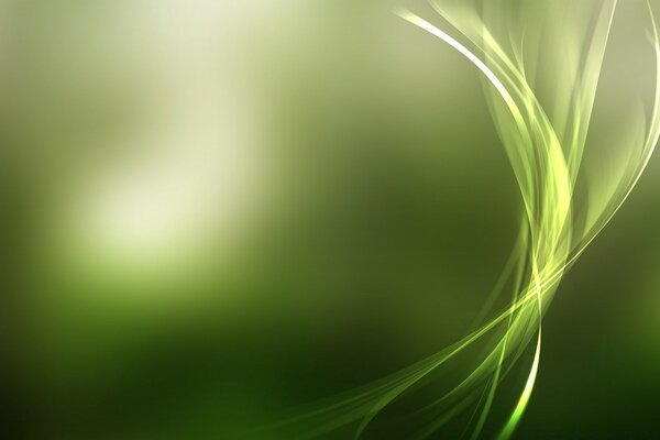 Screensaver di Windows sul desktop