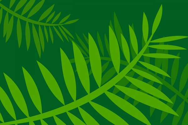 Foglie verdi su sfondo verde scuro, grafica vettoriale