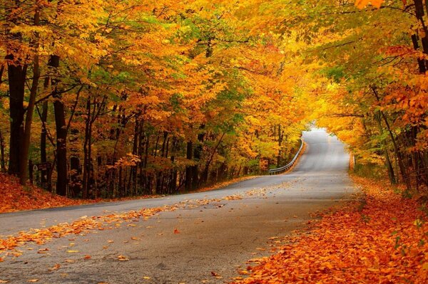Una lunga strada inondata di Cuneo autunnale e foglie