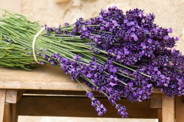 Lavanda di montagna lavanda dei nostri incontri con te