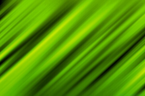 Foglia verde sfondo del desktop