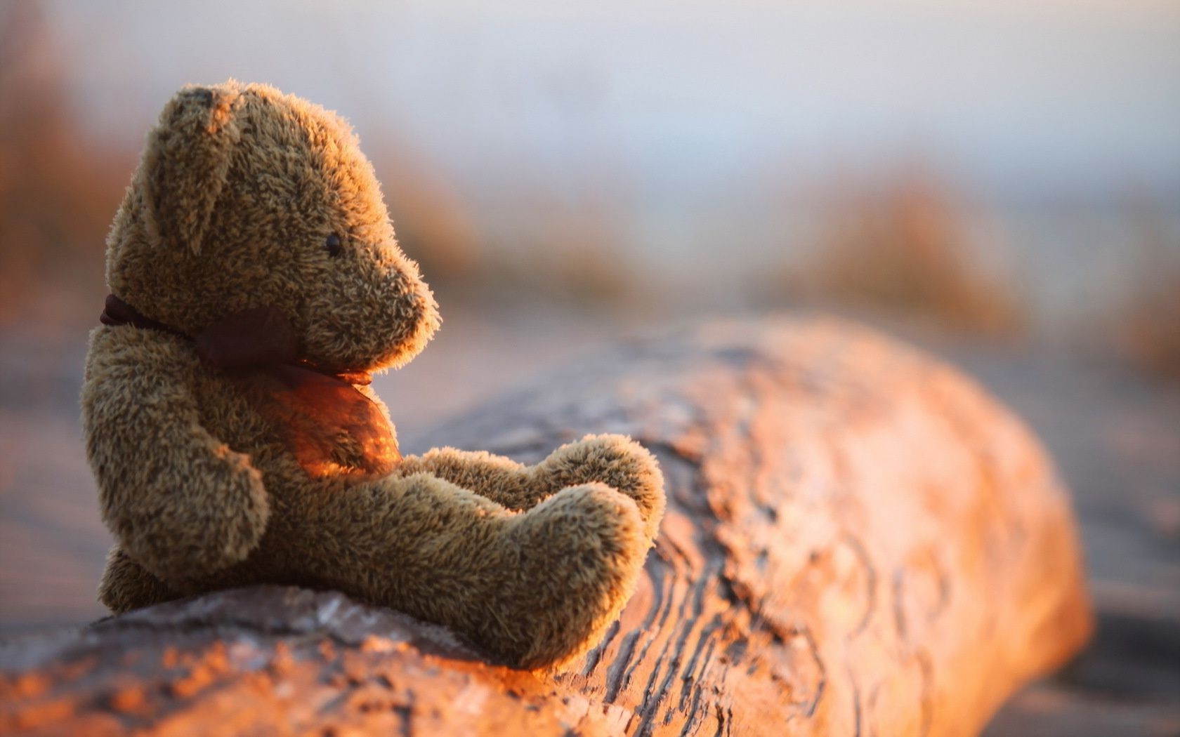 natura all aperto cibo