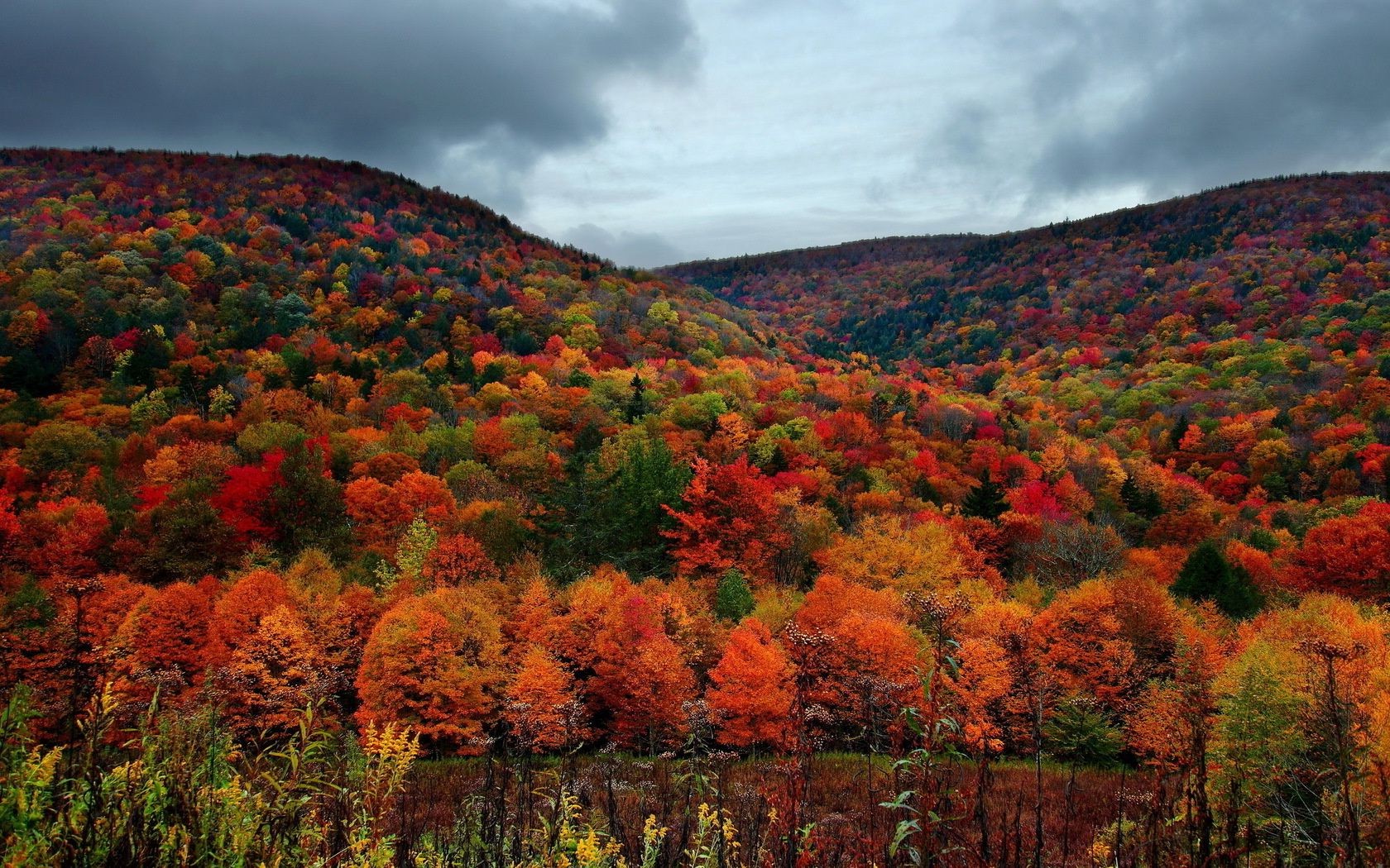 autunno paesaggio autunno all aperto montagna natura albero viaggi foglia scenico luce del giorno cielo legno
