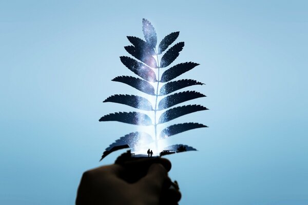 Creativo all aria aperta luce