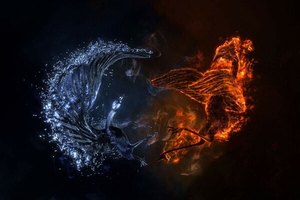 Yin e Yang nella loro lotta