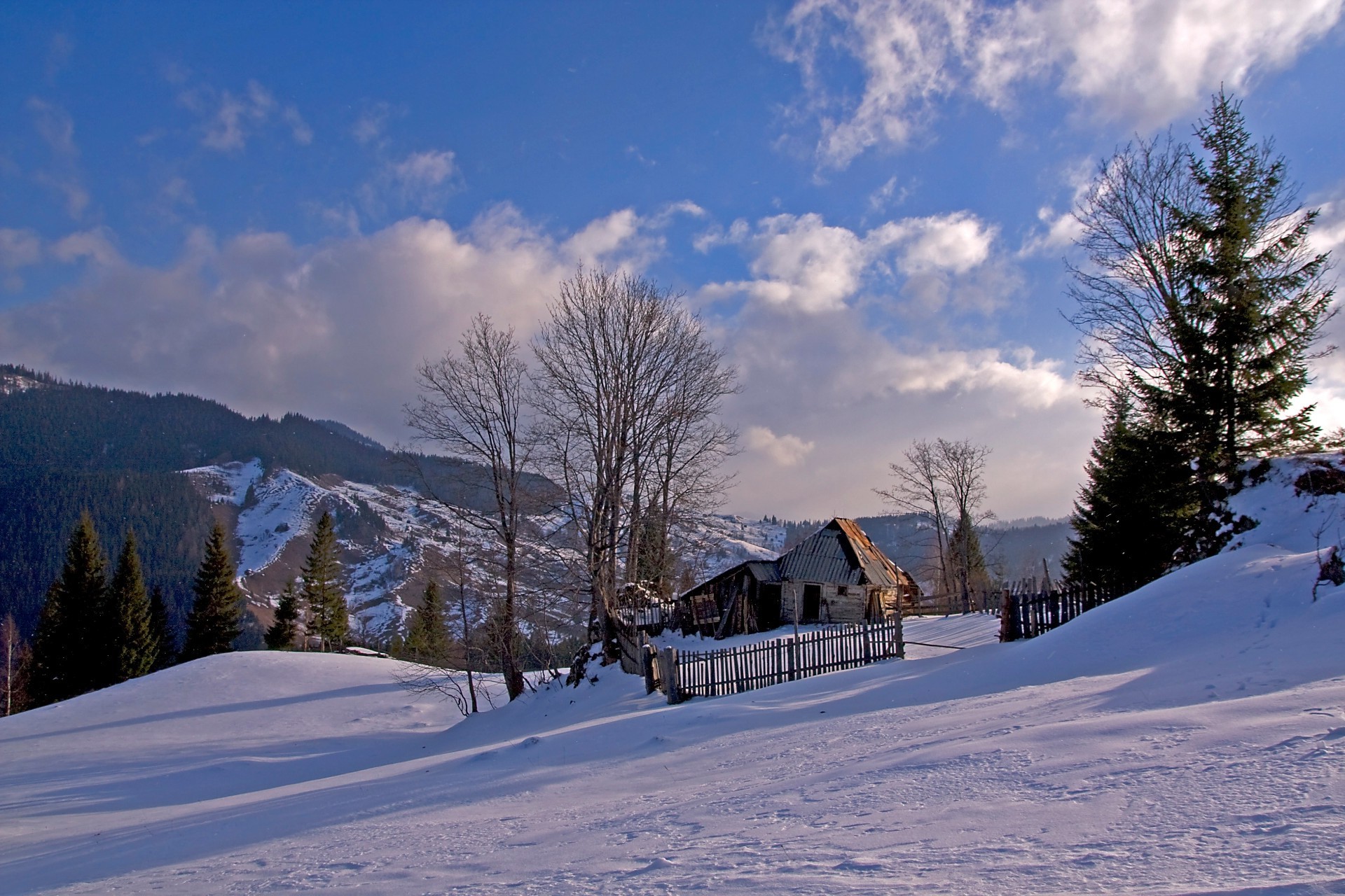 campi prati e valli neve inverno freddo montagna legno congelato ghiaccio albero scenico gelo nevoso paesaggio chalet resort evergreen capanna collina meteo pista stagione