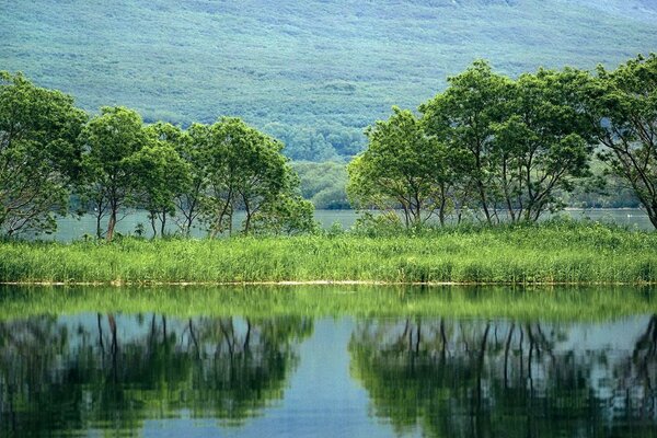 Natura. Acque di stagni e torrenti