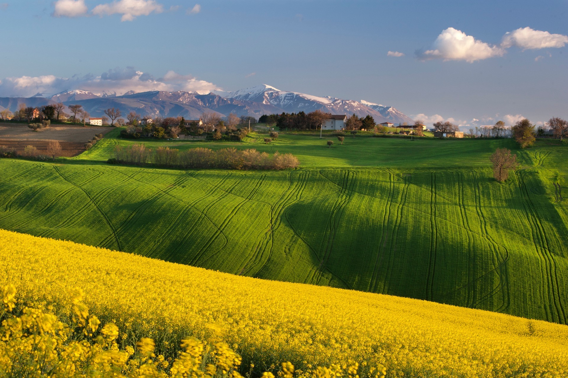 campi prati e valli paesaggio campo agricoltura rurale natura campagna cielo fattoria estate paese erba albero raccolto terreno agricolo sole all aperto scenico