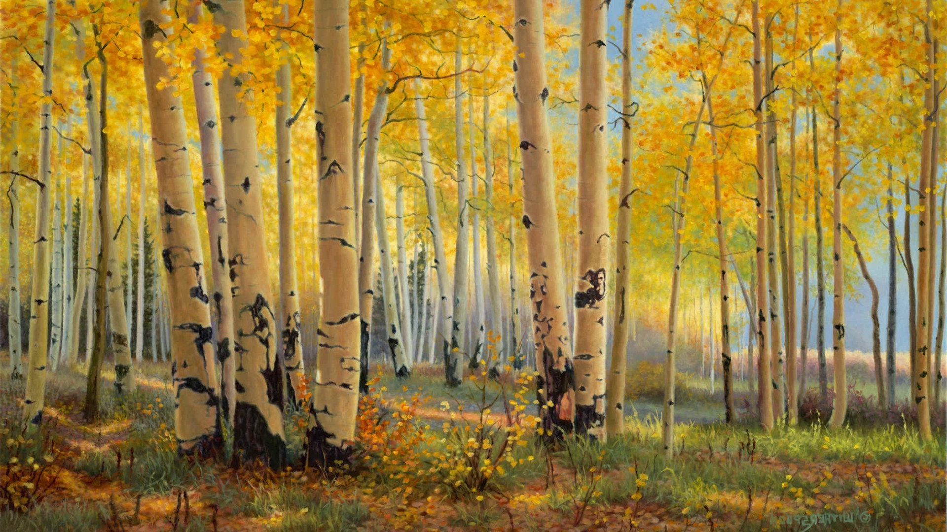 autunno autunno foglia legno natura albero paesaggio stagione parco alba bel tempo ramo luminoso campagna scena oro lussureggiante paesaggio all aperto rurale