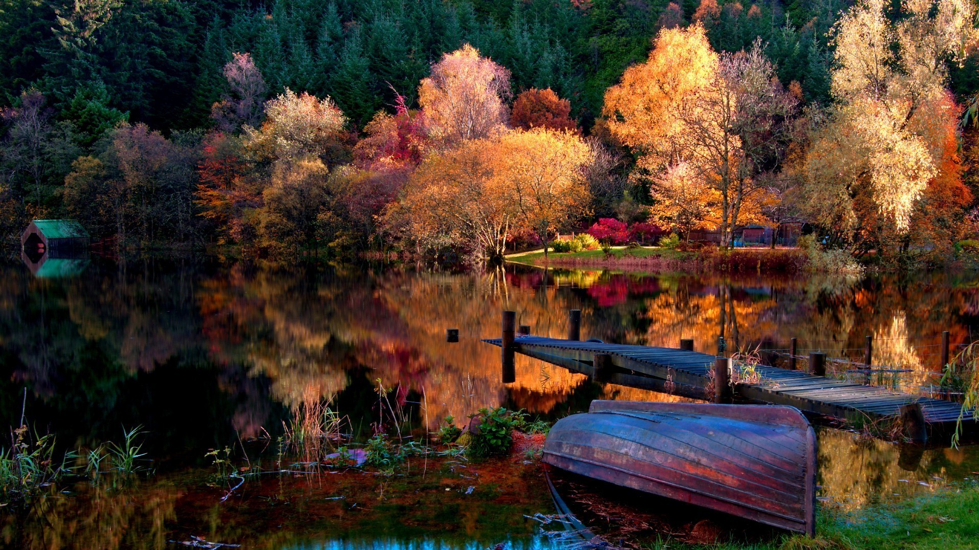 lago autunno albero natura legno fiume d acqua paesaggio parco all aperto riflessione foglia scenic viaggi stagione colore