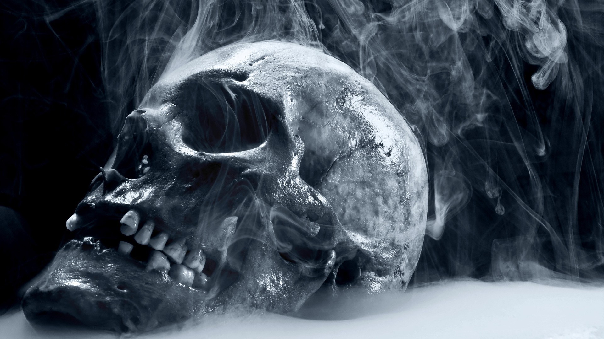 pericolo arte halloween cranio orrore