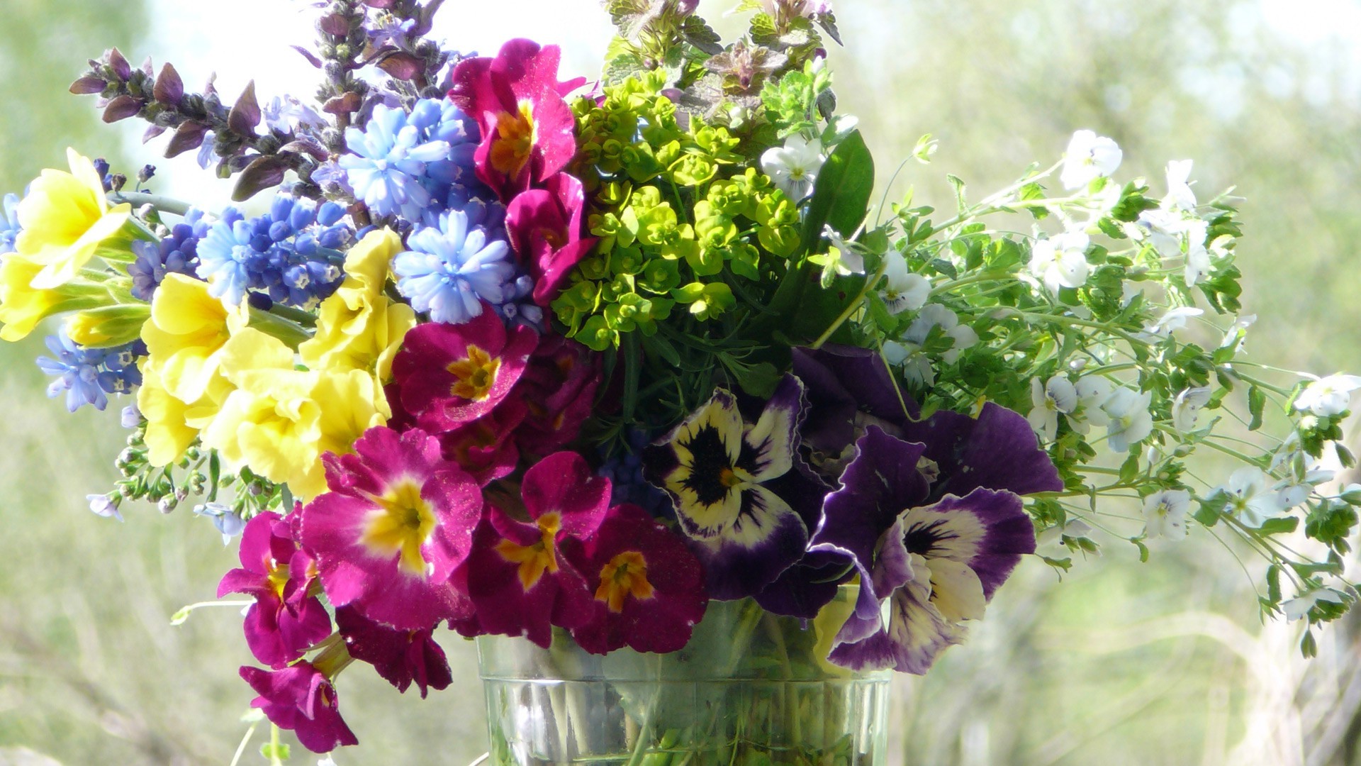 bouquet di fiori flora natura fiore giardino foglia floreale estate fioritura crescita petalo viola colore stagione vivid bouquet campo close-up decorazione botanico