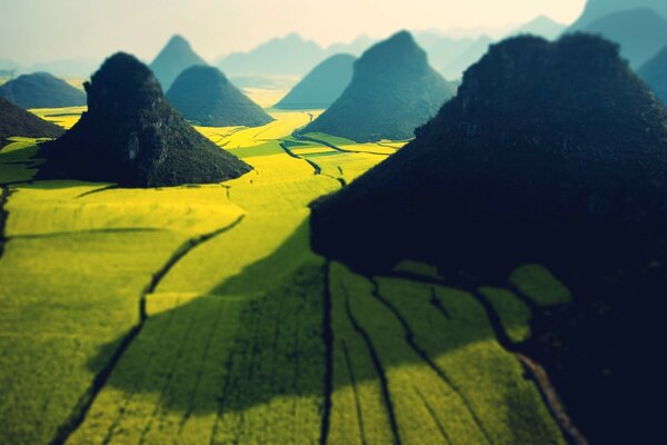 Foto di un campo giallo tra le montagne