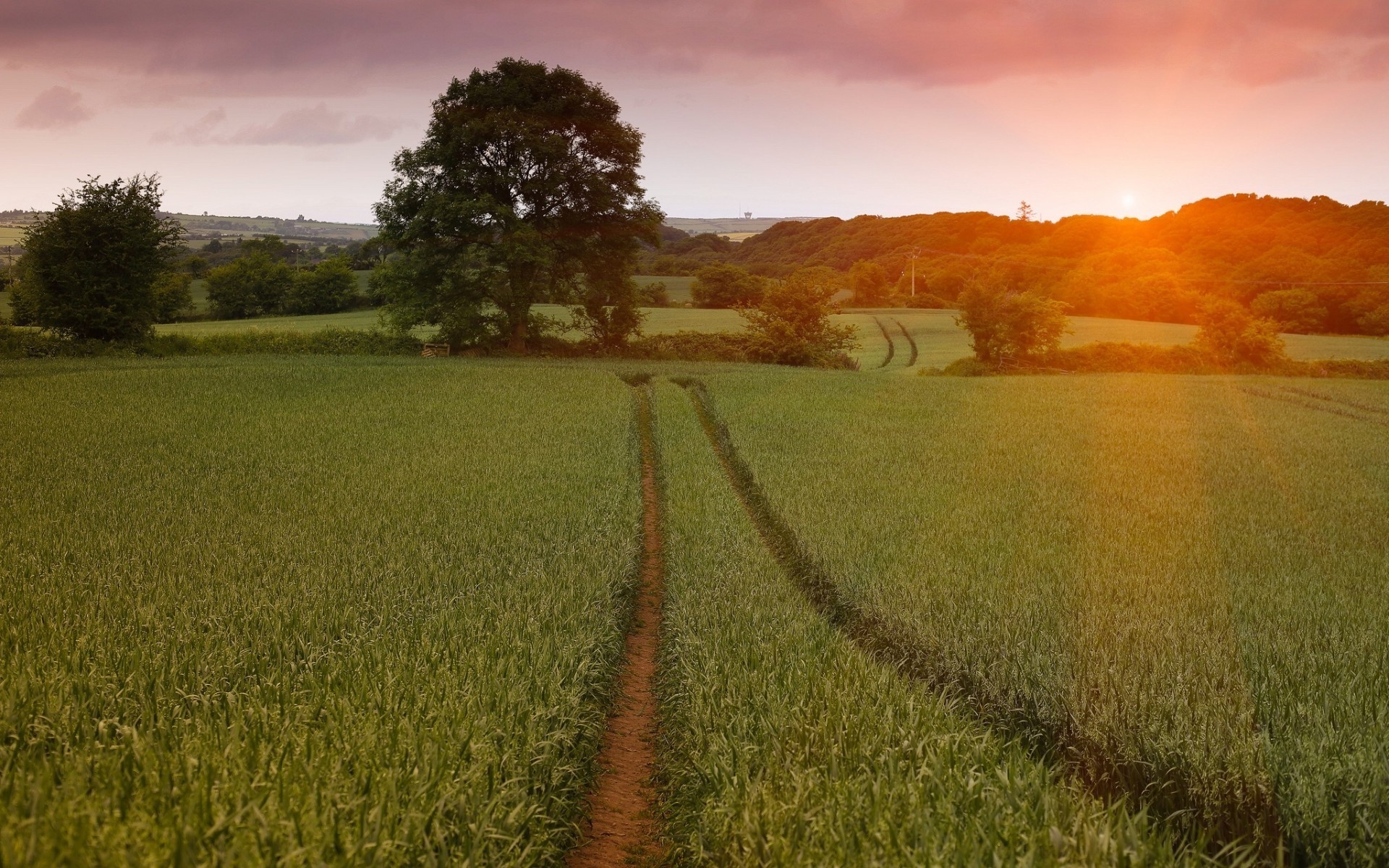 campi prati e valli paesaggio campo tramonto alba agricoltura rurale campagna terra coltivata natura cielo fattoria paese grano sole all aperto erba fieno albero sera