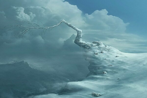 Albero secco su una scogliera innevata