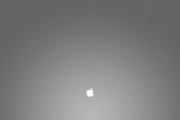 Mela apple molto piccola su sfondo grigio