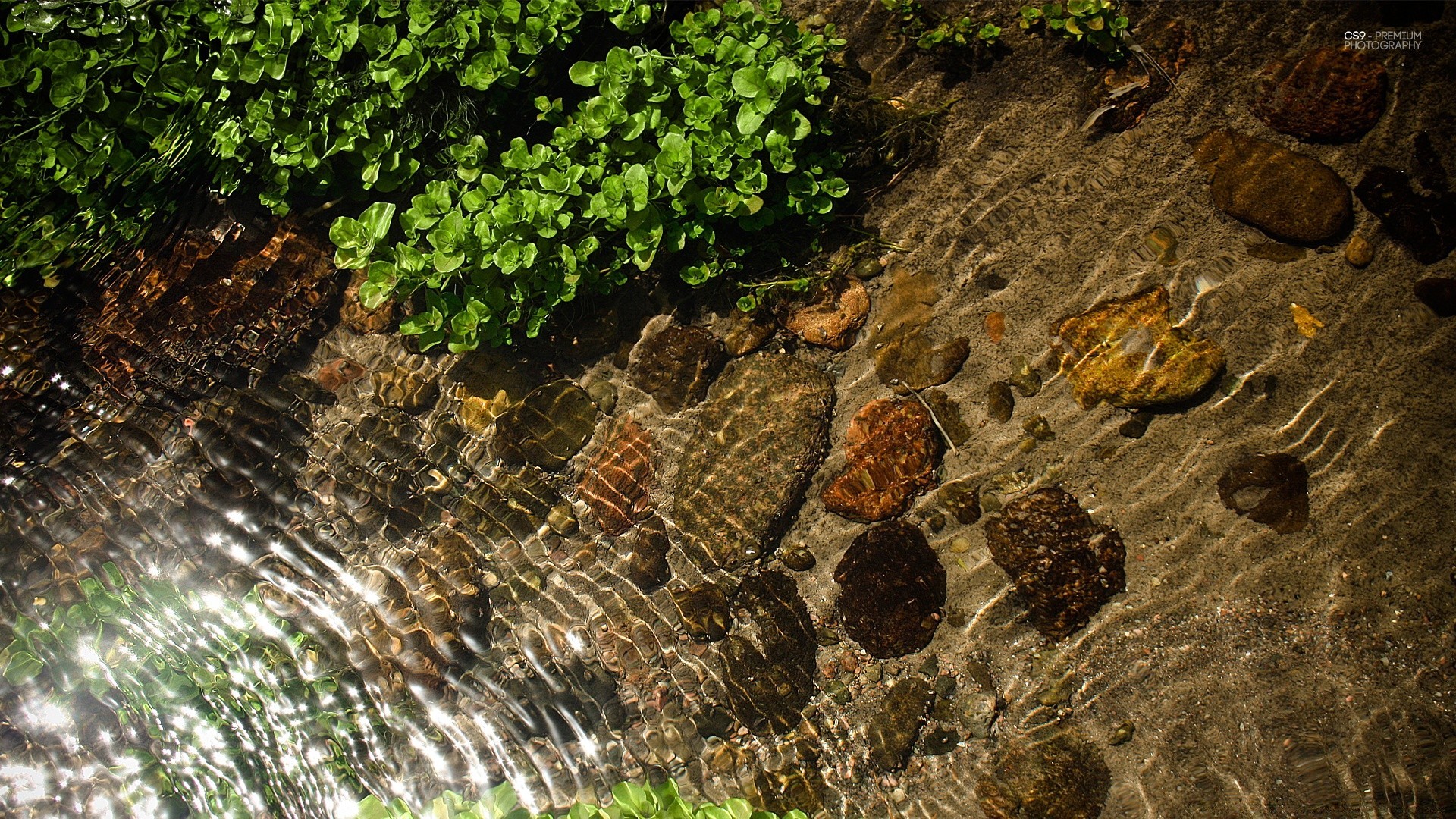 goccioline e acqua natura acqua pietra roccia desktop