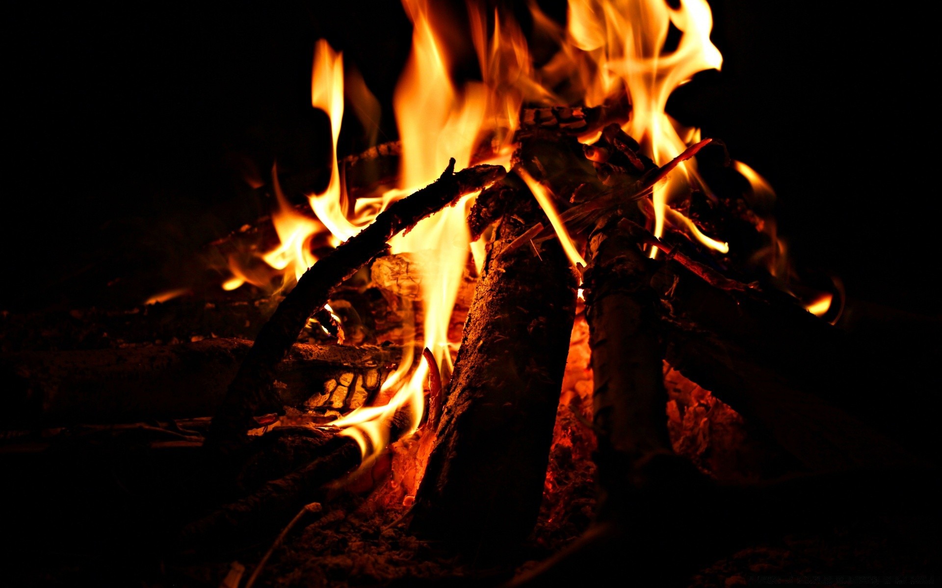 fuoco fiamma falò caldo falò camino calore legna da ardere bruciare carbone calore accendere inferno bruciato fiammata cenere infiammabile fumo pericolo fuoco carbone