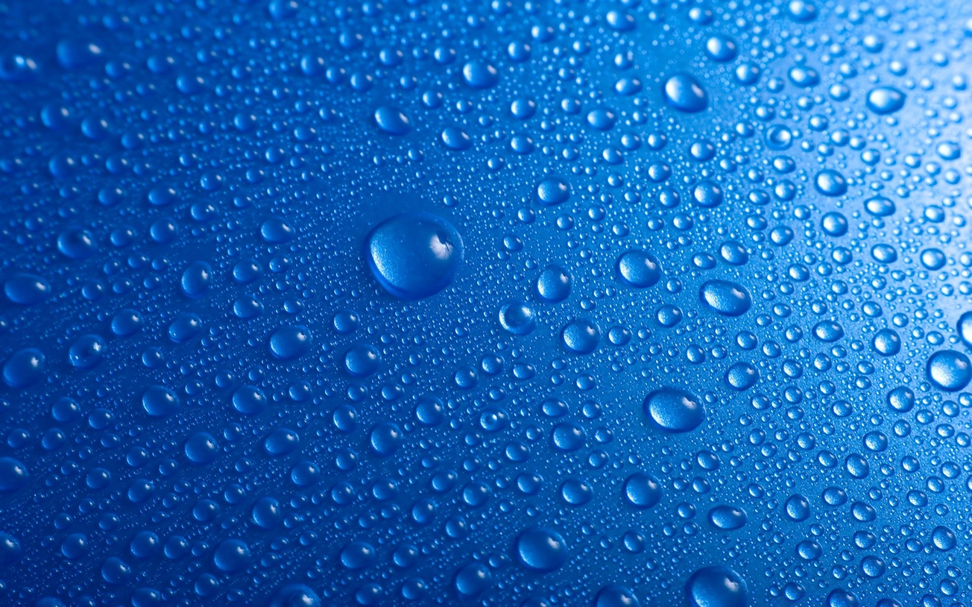 goccioline e acqua pioggia bagnato rugiada goccia gocce pulito turchese bolla chiaro acqua gocce lavare splash liquido pulito pulito waterdrop luce pioggia
