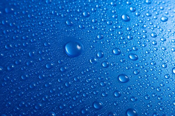 Gocce di rugiada su sfondo blu