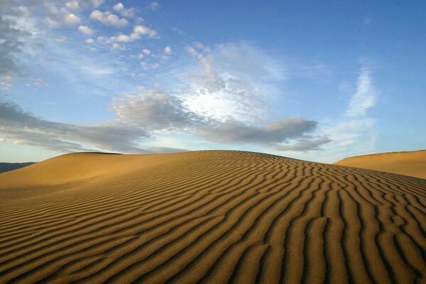 Bella foto del deserto dalla sabbia