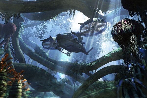 Acquario subacqueo per pesci di grandi dimensioni