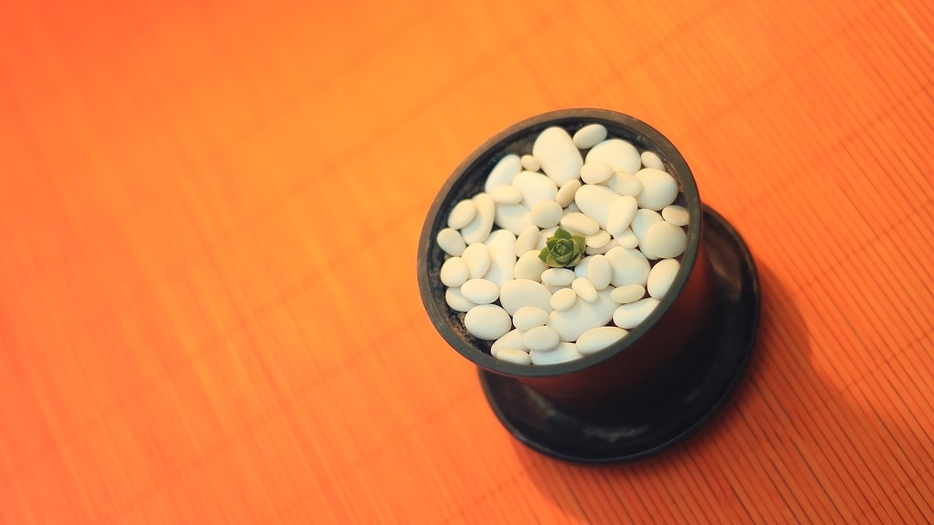 cibo medicina desktop salute ciotola legno still life sano