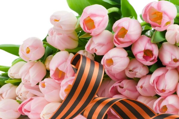 Bouquet di tulipani rosa con nastro di San Giorgio