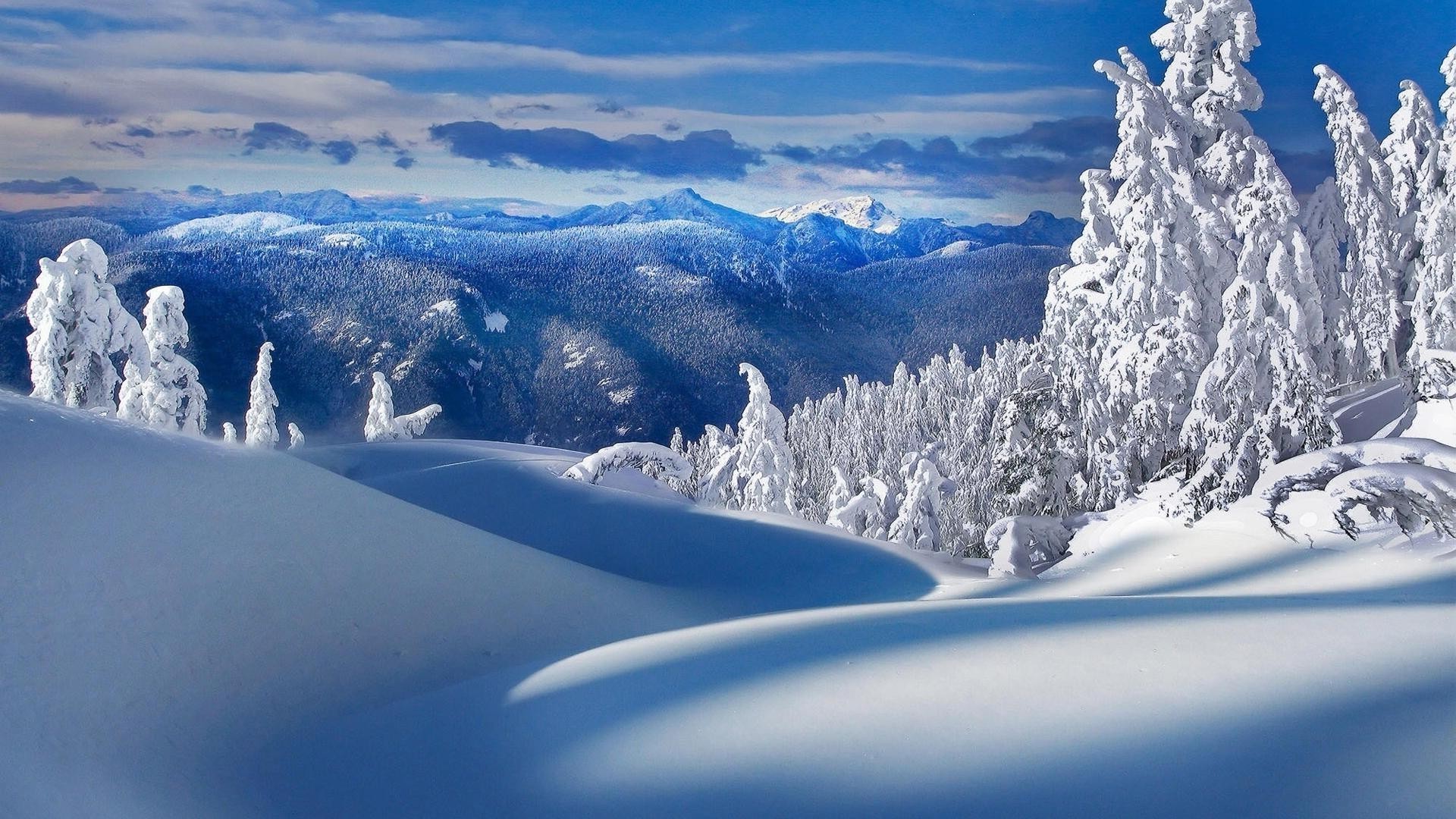 inverno neve freddo ghiaccio montagna gelo congelato scenic paesaggio polvere nevoso legno frosty panorama stagione picco di montagna alpino ghiaccio