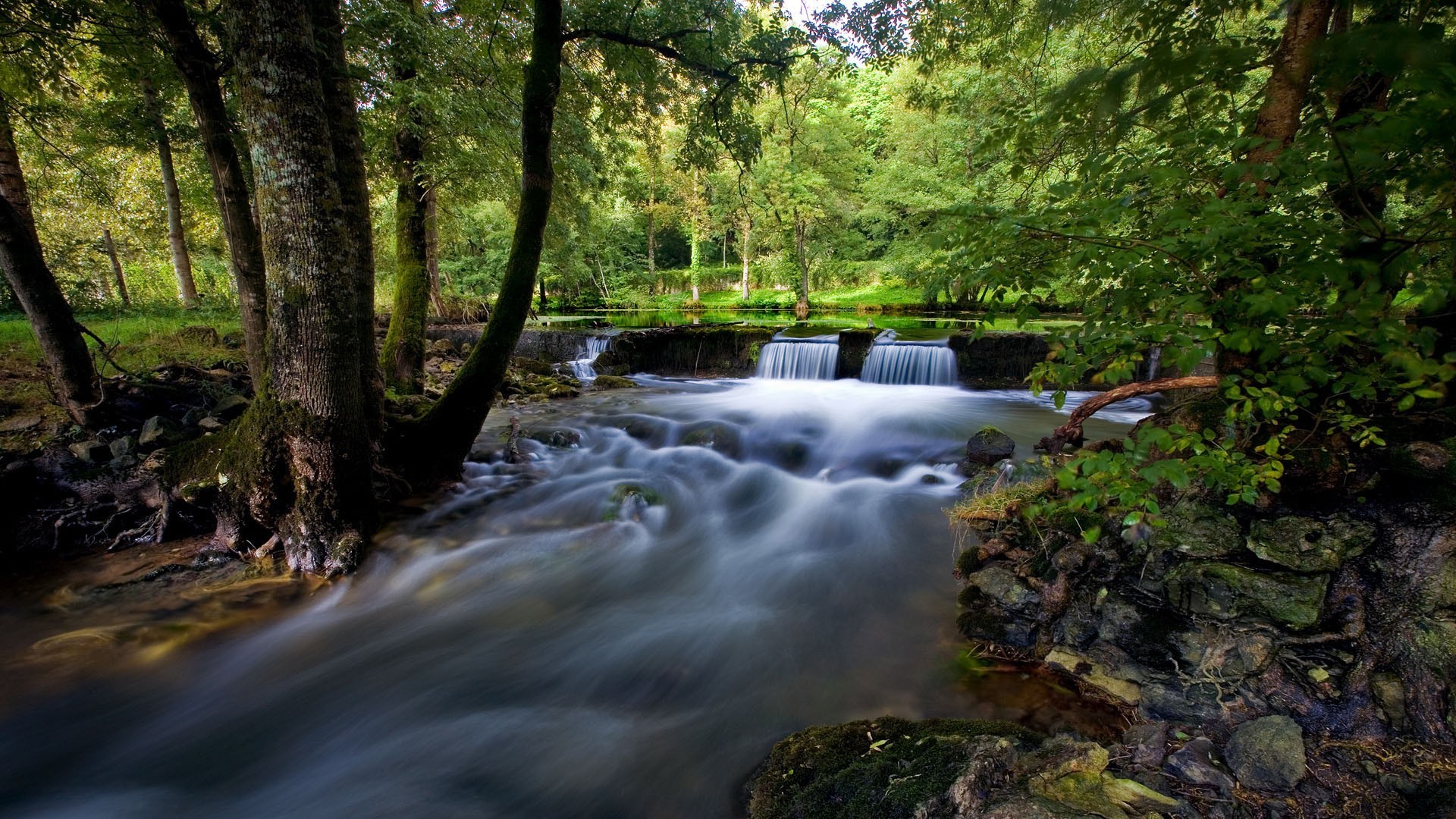 cascate acqua fiume legno cascata flusso natura autunno foglia paesaggio creek albero muschio all aperto cascata parco rapids bagnato roccia fotografia