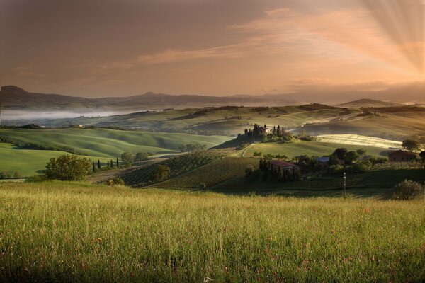 Bellissimo paesaggio di prati e tramonto