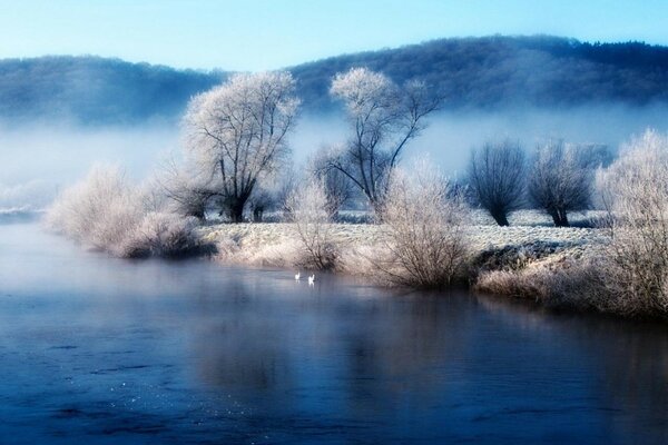 Paesaggio invernale: stagni, ruscelli e alberi