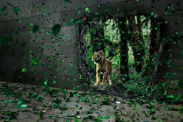 Tigre in volo intorno a lui verde