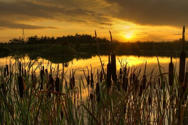 Tramonto bello e succoso sull acqua