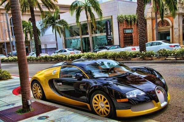 Auto sportiva sulla strada vicino alle palme