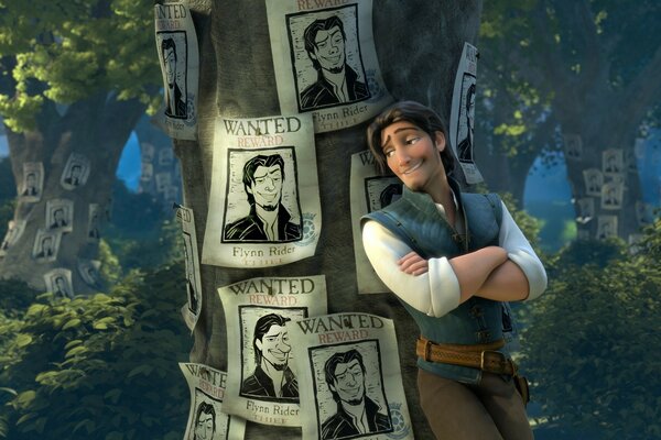 Cerca su tutti i pali e gli alberi