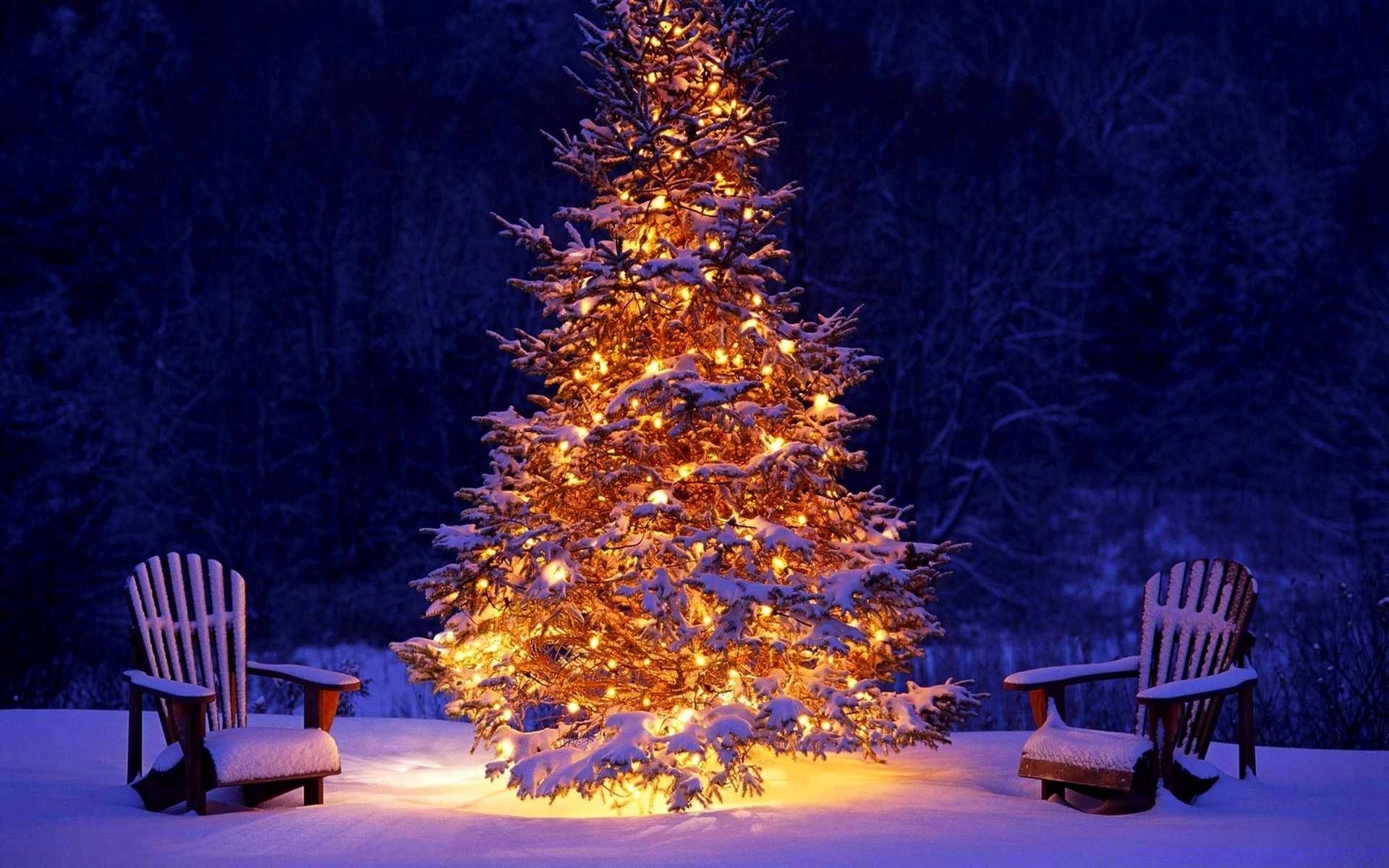 natale sedia panca sedile legno all aperto inverno albero sera neve viaggi relax